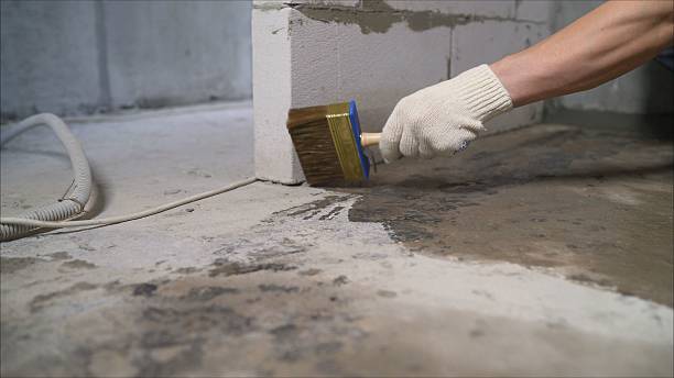 SJ Waterproofing Pros Crawl Space Encapsulation coverage map for Lexington, MI and surrounding area